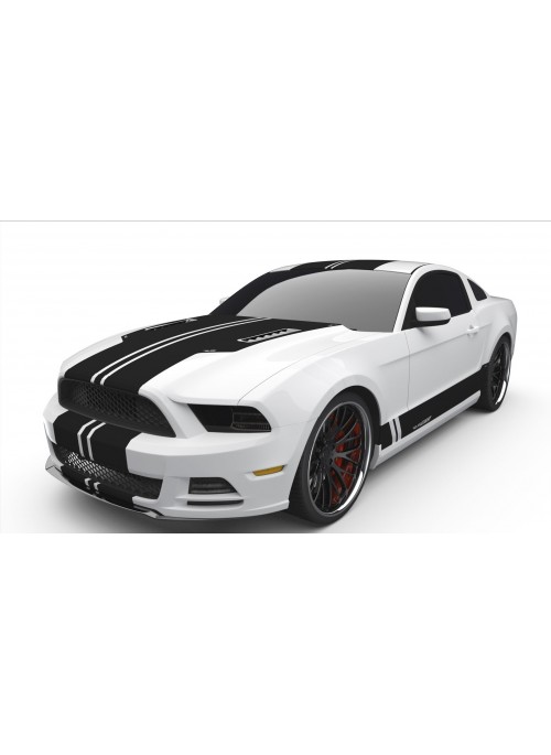 Raceskinz® 2013-2014 Mustang RS50 D3NiAl™ Edition Premium Graphics Kit